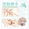 MAGIC EYES Specimen of Tactility Nejire Masturbator aus TPE Beige