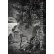 KALENDER Hot Stuff DIN A4 2027
