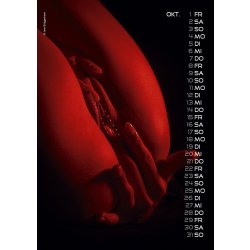 KALENDER Pornogirls DIN A4 2027