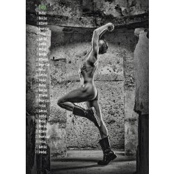 KALENDER Nice Guys & Bad Cocks DIN A4 2027