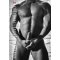KALENDER Nice Guys & Bad Cocks DIN A4 2027