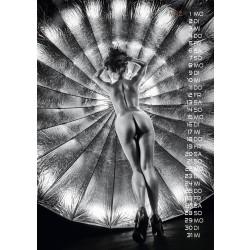 KALENDER Sexy Backside DIN A3 2027