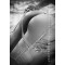 KALENDER Sexy Backside DIN A3 2027
