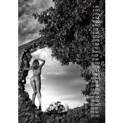 KALENDER Bad Backsides DIN A3 2027
