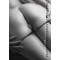KALENDER Bad Backsides DIN A3 2027