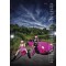 KALENDER Cars & Girls DIN A3 2027