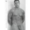 KALENDER Pin-Up "Real Cocks 2027" 29,7 x 42 cm