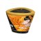 SHUNGA Massage-Kerze Luscious Mango 170 ml