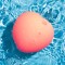 ROMP Pink Peach Klitoral Pulsator mit Pleasure Air Technologie