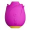 ROMP Rose Klitoral Pulsator mit Pleasure Air Technologie Pink
