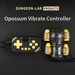 DUNGEON LAB Opossum Vibrate Controller
