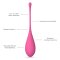 LESLIE Kegel Fit Beckenbodentrainings-Set mit 6 Gewichten