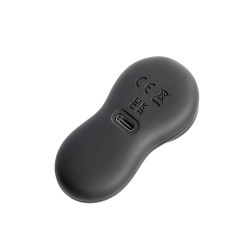 LOVISS Posy Garden Anal-Plug mit Vibration & Fernbedienung Violett