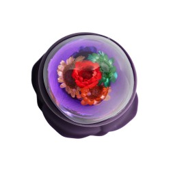LOVISS Posy Garden Anal-Plug mit Vibration & Fernbedienung Violett