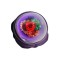 LOVISS Posy Garden Anal-Plug mit Vibration & Fernbedienung Violett