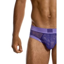 MODUS VIVENDI Lingerie Lace Cheeky Classic Brief Violett