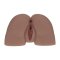 XKIN Bodyforms Kaya Bloom Dual Entry Vibrating Masturbator 2,4 kg Braun