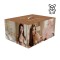 XKIN Bodyforms Aveline Luxe Dual Entry Vibrating Masturbator 14 kg Beige