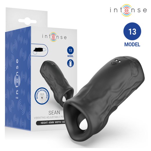INTENSE Sean Penis- & Hodenring mit Vibration Modell 13 Schwarz
