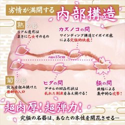 MAGIC EYES Wet Vagina Kiwami Masturbator mit...