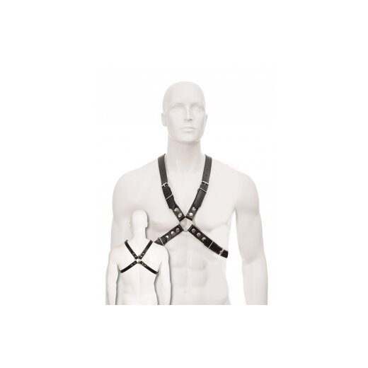 TR Black Leather Buckle Harness